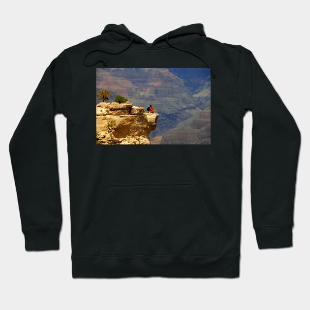 "Canyon Thoughts" Hoodie by dltphoto